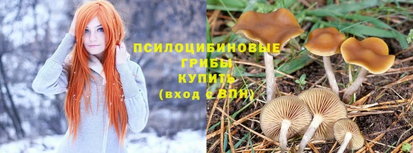 мяу мяу мука Алексин