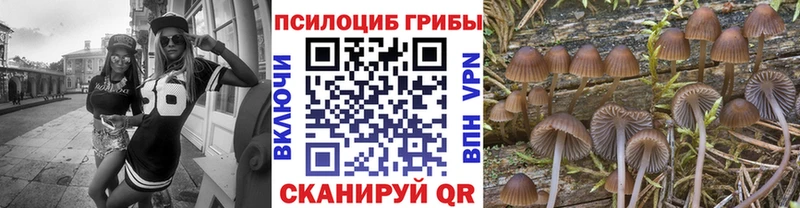 Псилоцибиновые грибы мухоморы  Барыш 